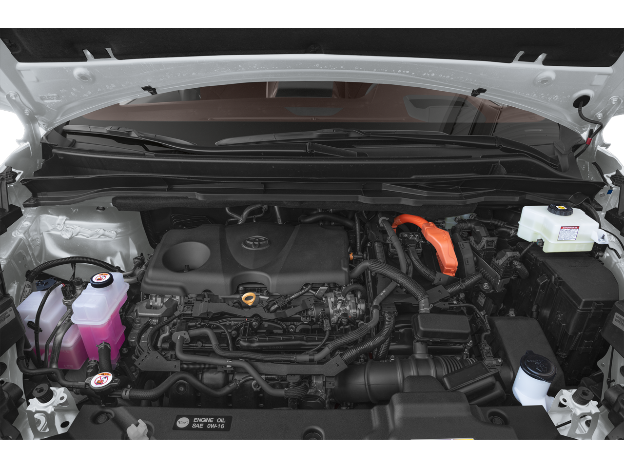 2024 Toyota Sienna Platinum 7 Passenger