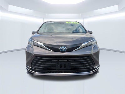 2024 Toyota Sienna XLE 8 Passenger